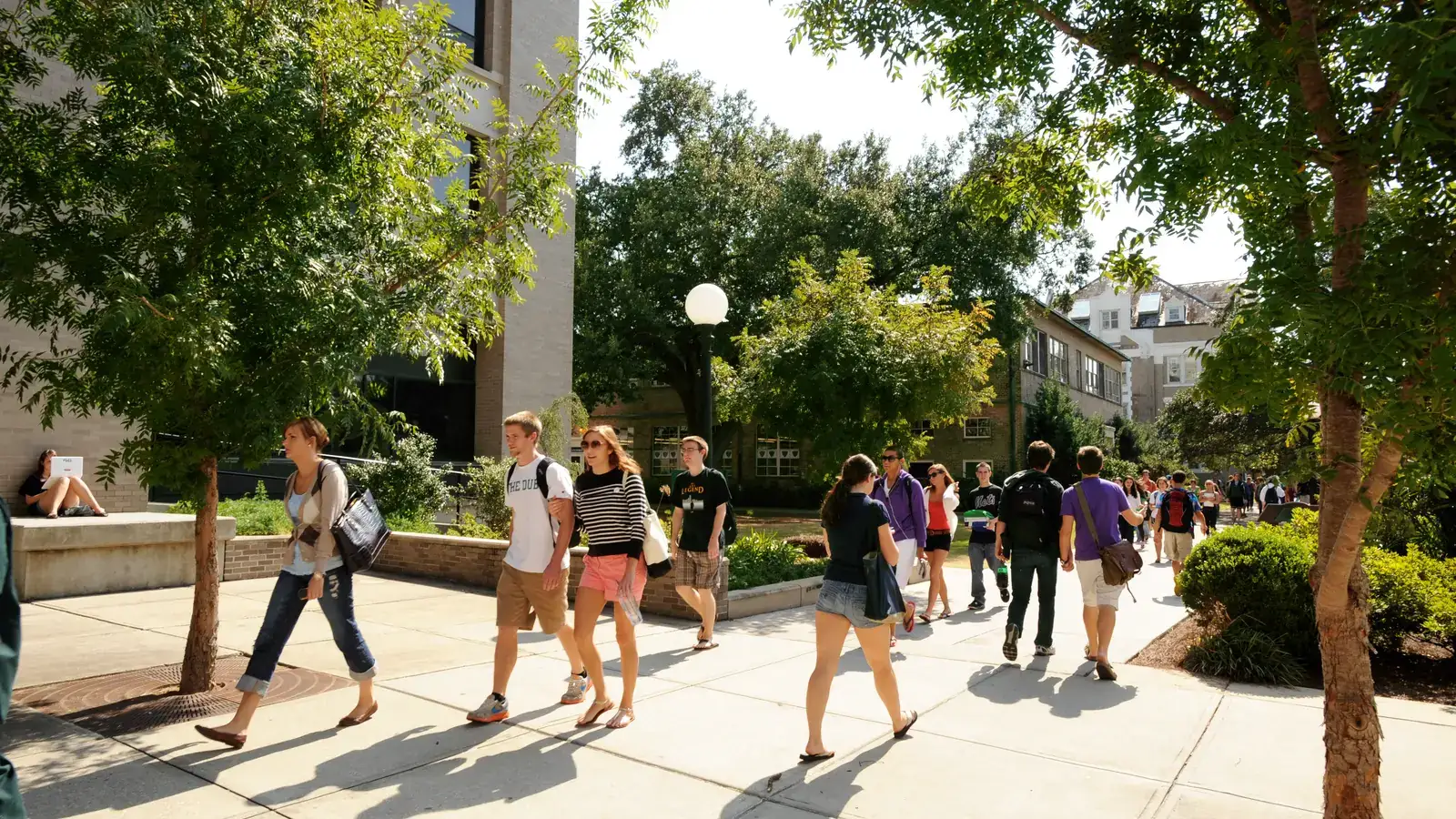 Students walking across the sunny Tulane University campus quad